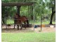 25 Sunter Road, Herbert NT 0836