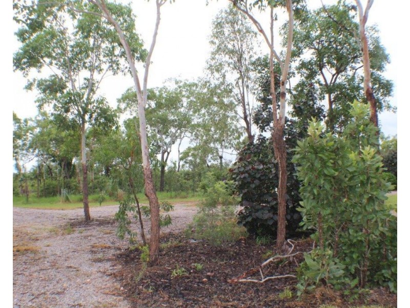 290 Wheewall Road, Berry Springs NT 0838