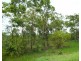 290 Wheewall Road, Berry Springs NT 0838
