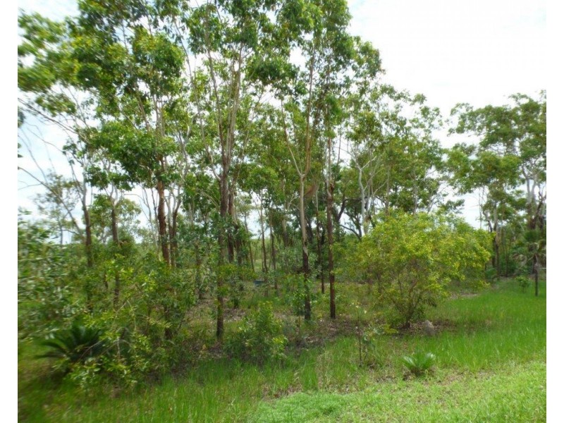 290 Wheewall Road, Berry Springs NT 0838