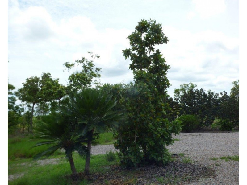 290 Wheewall Road, Berry Springs NT 0838