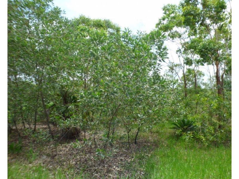 290 Wheewall Road, Berry Springs NT 0838