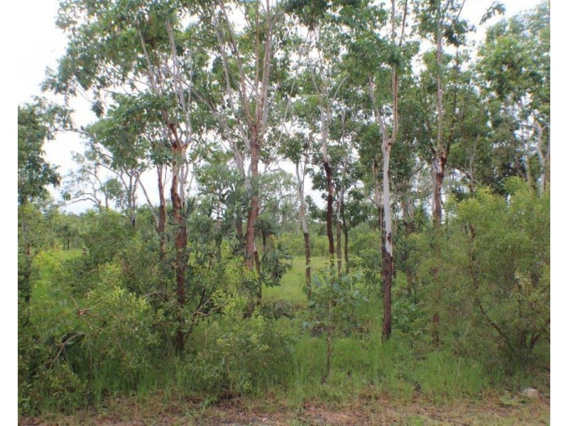 290 Wheewall Road, Berry Springs NT 0838