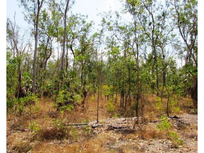 650 Dundee Road, Dundee Downs NT 0840