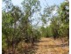 650 Dundee Road, Dundee Downs NT 0840