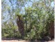 650 Dundee Road, Dundee Downs NT 0840