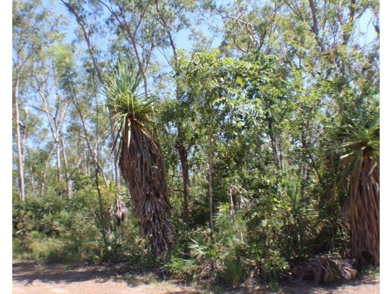 650 Dundee Road, Dundee Downs NT 0840