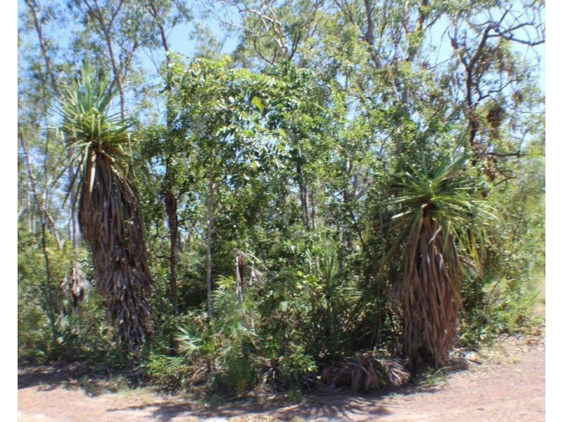 650 Dundee Road, Dundee Downs NT 0840