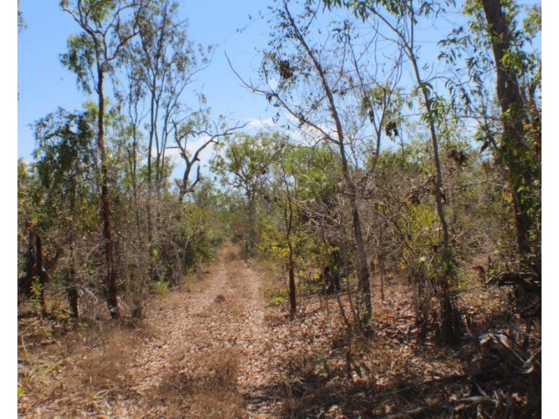 650 Dundee Road, Dundee Downs NT 0840