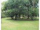 75 Redgum Drive, Humpty Doo NT 0836