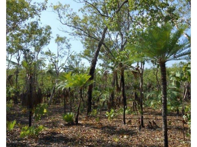 85&195 Crater Lake Road, Batchelor NT 0845