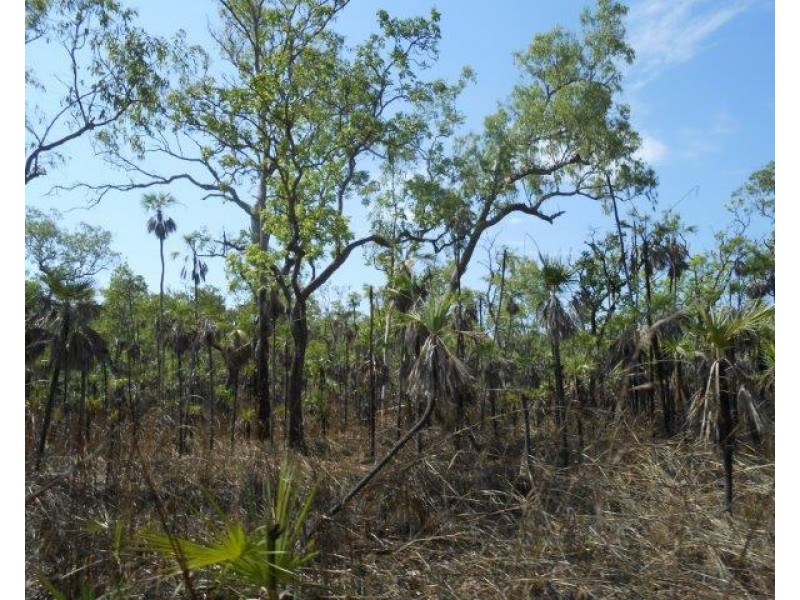 85&195 Crater Lake Road, Batchelor NT 0845
