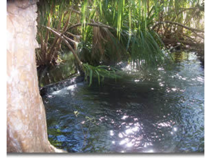 85&195 Crater Lake Road, Batchelor NT 0845
