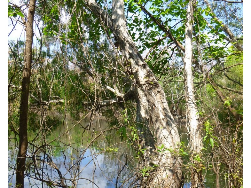 85&195 Crater Lake Road, Batchelor NT 0845