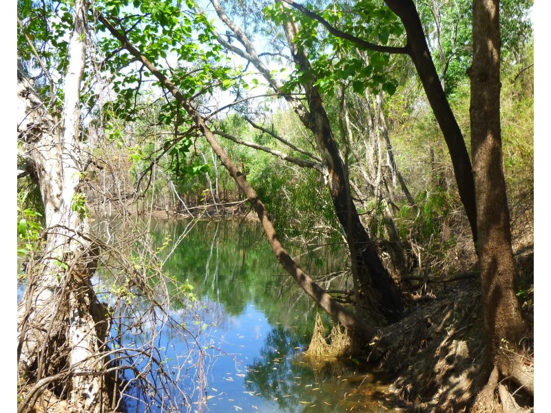 85&195 Crater Lake Road, Batchelor NT 0845