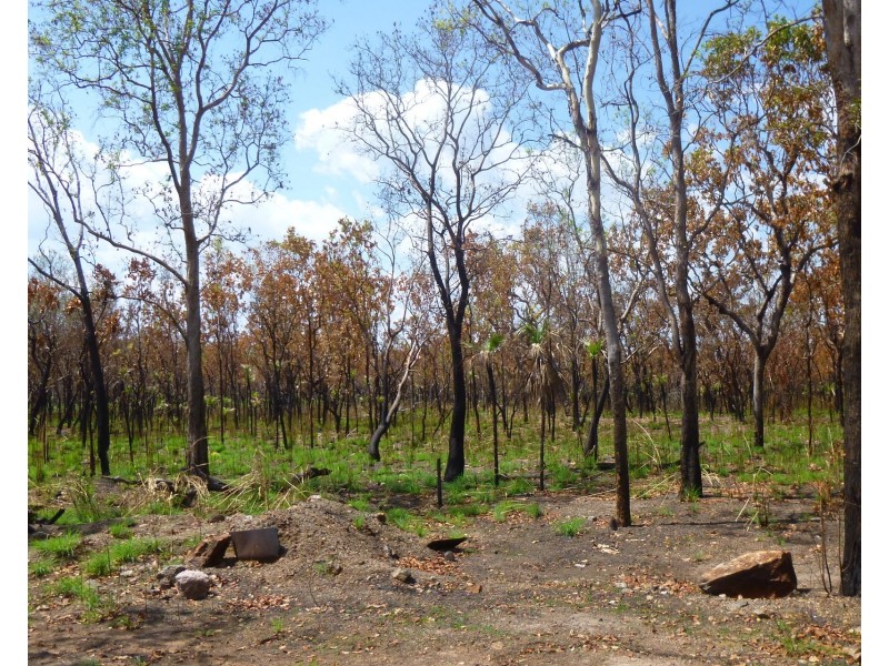 85&195 Crater Lake Road, Batchelor NT 0845