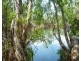 85&195 Crater Lake Road, Batchelor NT 0845