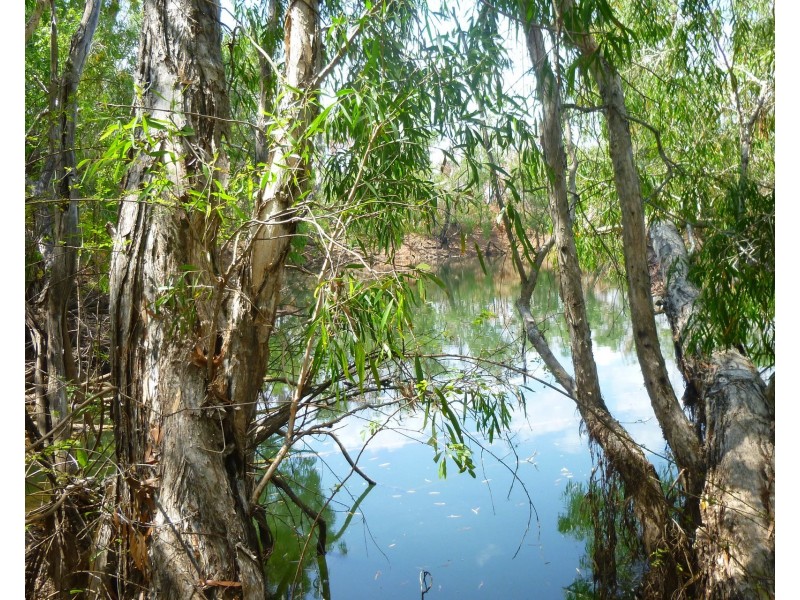 85&195 Crater Lake Road, Batchelor NT 0845
