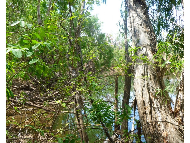 85&195 Crater Lake Road, Batchelor NT 0845