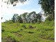 73d Gulnare Road, Bees Creek NT 0822