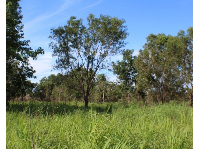 73d Gulnare Road, Bees Creek NT 0822