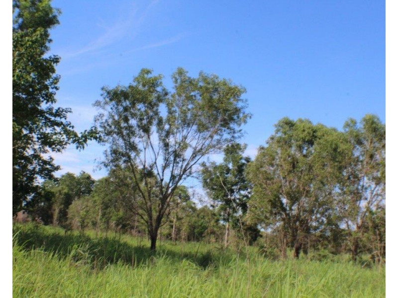 73d Gulnare Road, Bees Creek NT 0822