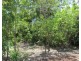 690 Namarada Drive, Dundee Beach NT 0840