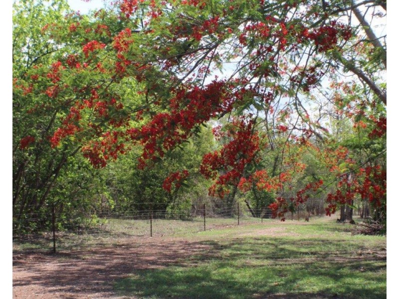 294 Trippe Road, Humpty Doo NT 0836