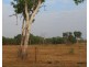 445 Spencer Road, Darwin River NT 0841