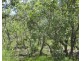 130 Maritana Road, Dundee Beach NT 0840