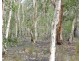 130 Maritana Road, Dundee Beach NT 0840