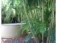 130 Maritana Road, Dundee Beach NT 0840