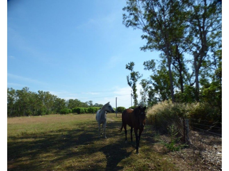 1105 Livingstone Road, Berry Springs NT 0838