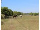 1105 Livingstone Road, Berry Springs NT 0838