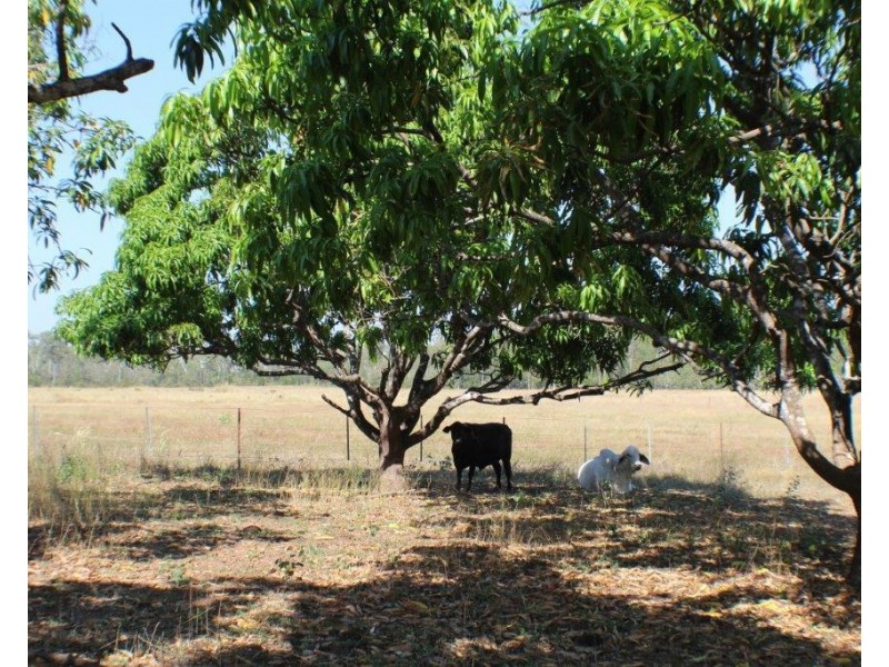 1105 Livingstone Road, Berry Springs NT 0838