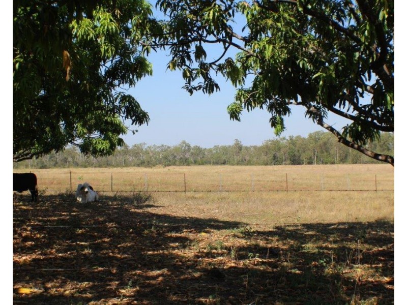 1105 Livingstone Road, Berry Springs NT 0838