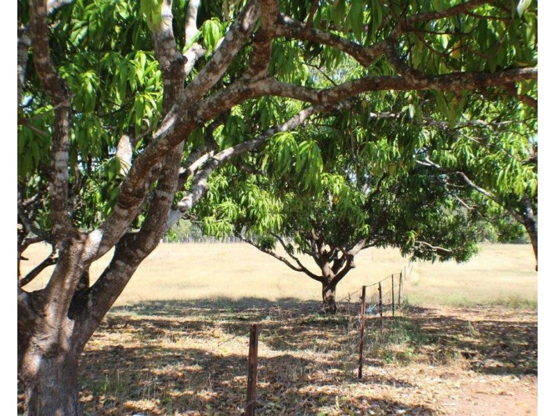 1105 Livingstone Road, Berry Springs NT 0838