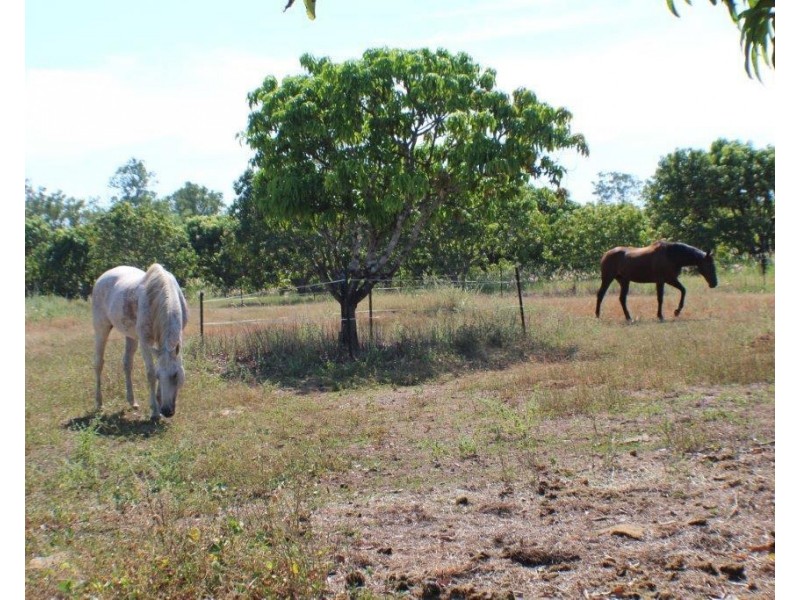 1105 Livingstone Road, Berry Springs NT 0838