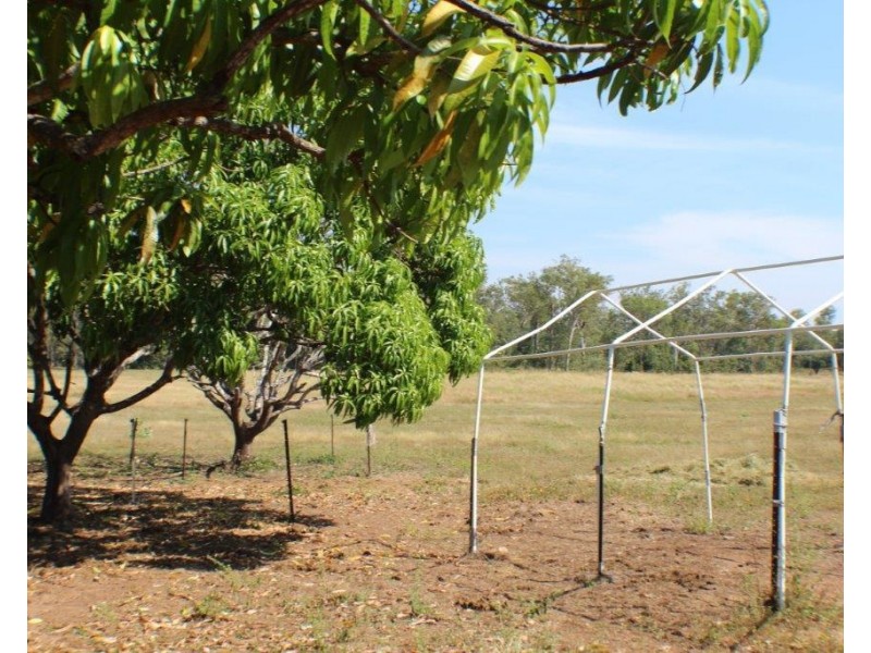 1105 Livingstone Road, Berry Springs NT 0838