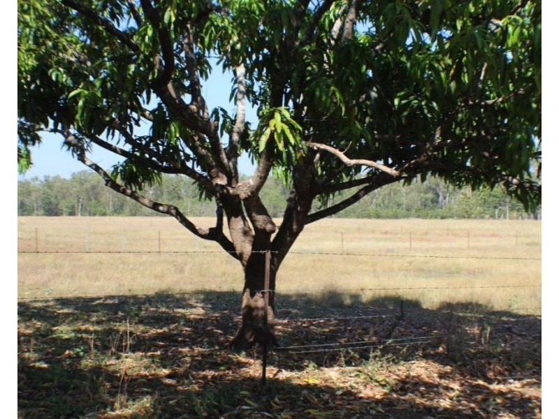 1105 Livingstone Road, Berry Springs NT 0838