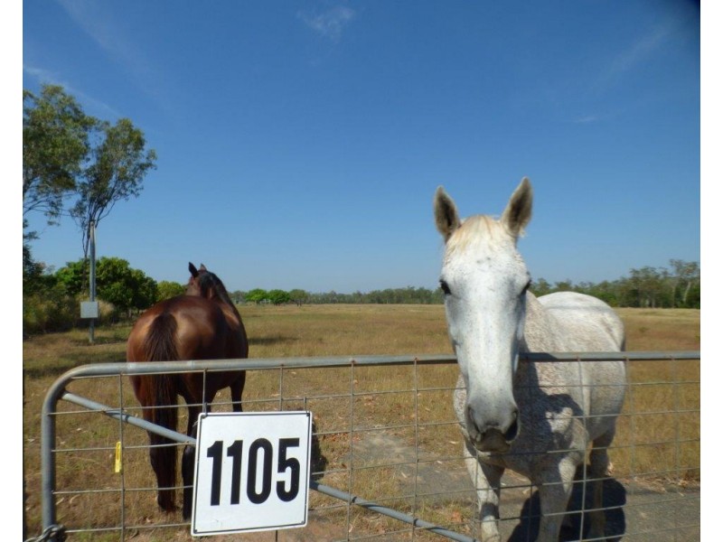 1105 Livingstone Road, Berry Springs NT 0838