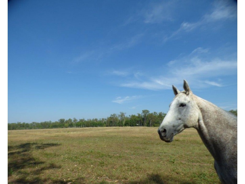 1105 Livingstone Road, Berry Springs NT 0838