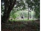 45 Reedbeds Road, Berry Springs NT 0838
