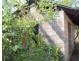 35 Carveth Road, Berry Springs NT 0838