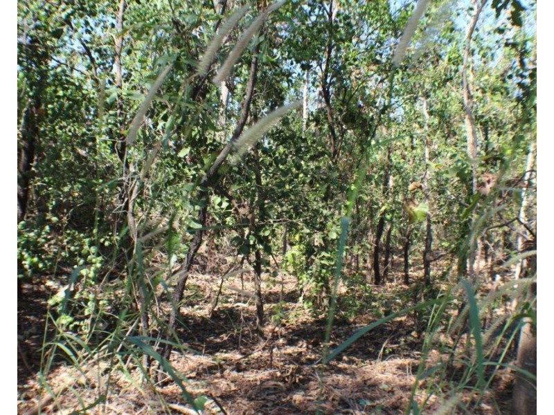 Lot 3223, 280 Mermaid Circuit, Dundee Beach NT 0840