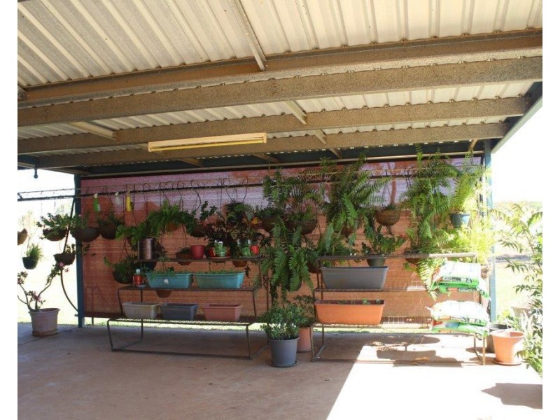 Adelaide River NT 0846