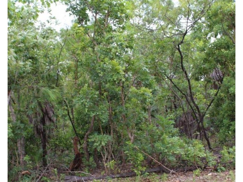 4600 Fog Bay Road, Dundee Forest NT 0840