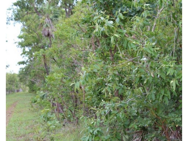 4600 Fog Bay Road, Dundee Forest NT 0840