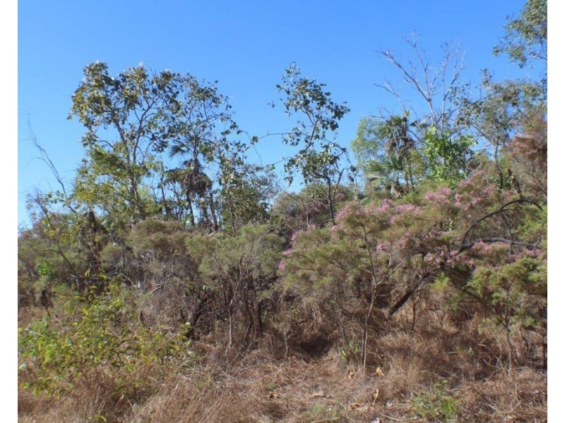 4600 Fog Bay Road, Dundee Forest NT 0840