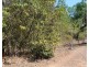 73 Myrmidon Road, Dundee Beach NT 0840